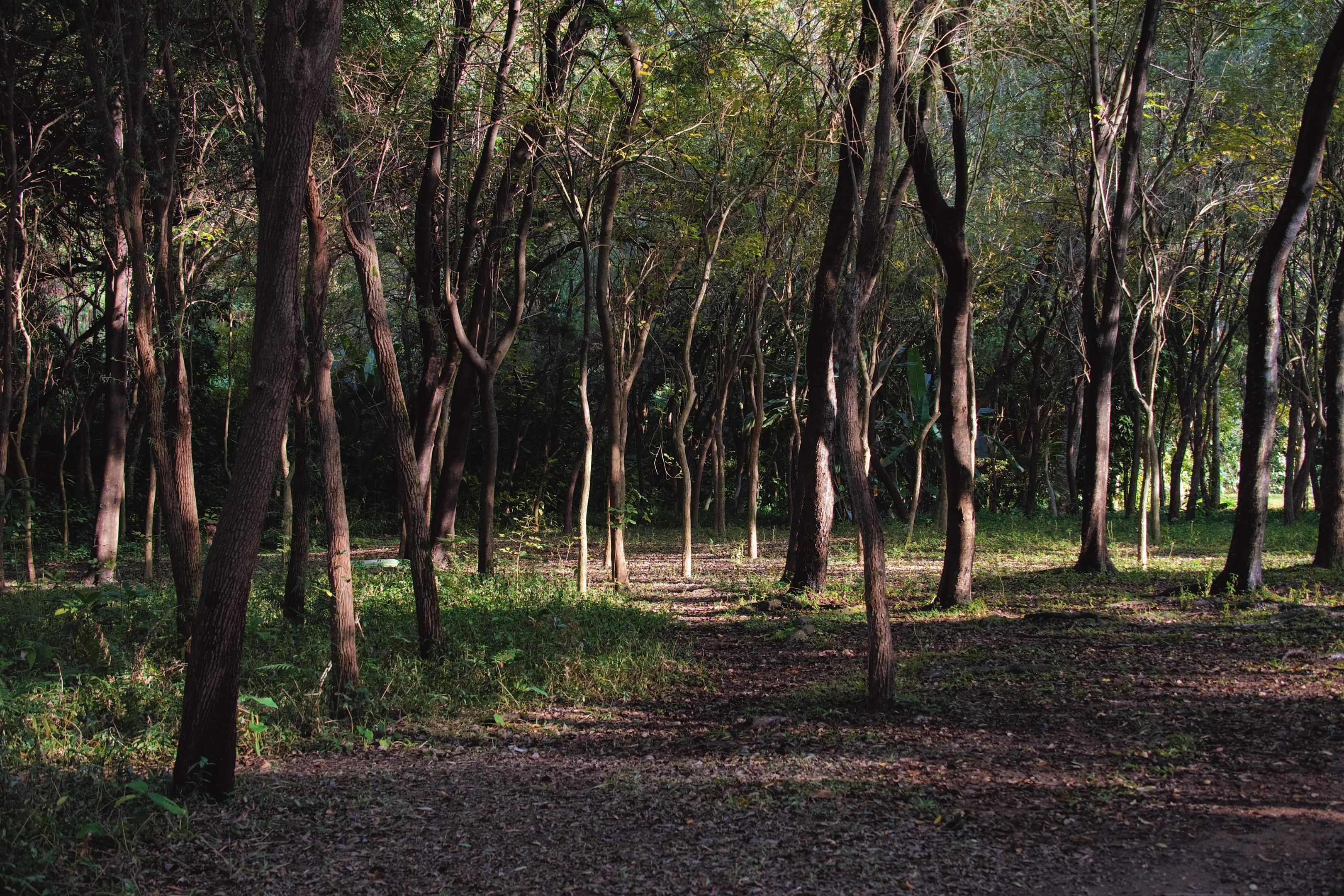 35mm